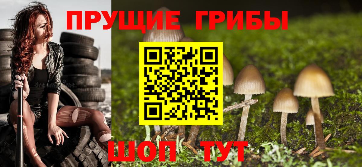 как найти закладки  Галлюциногенные грибы ЛСД  Вход с VPN  Кузнецк 